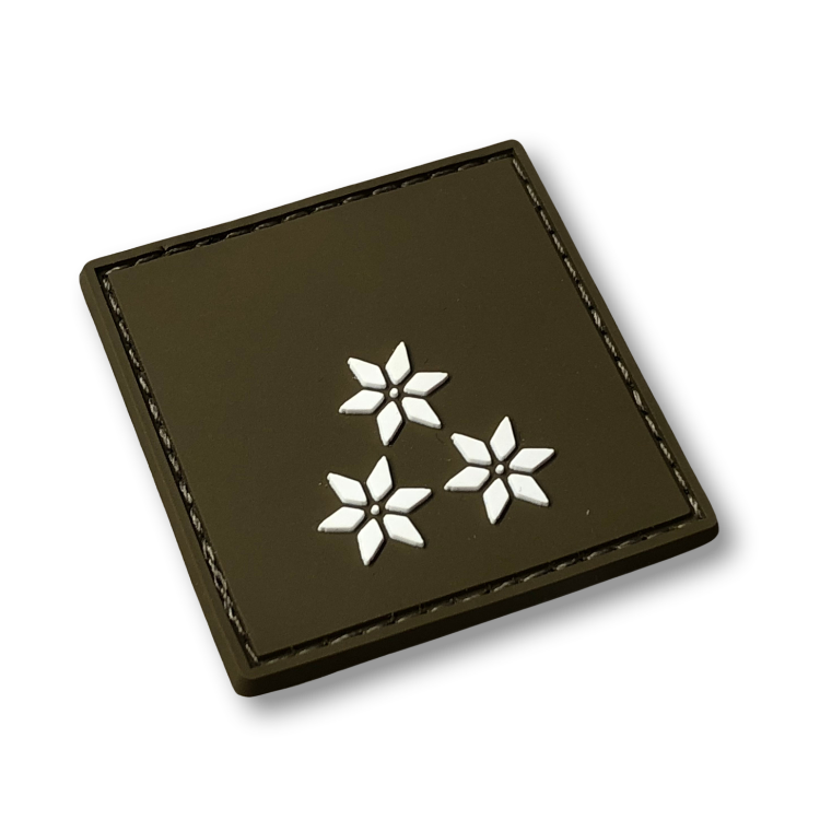 Ranks of the Federal Army