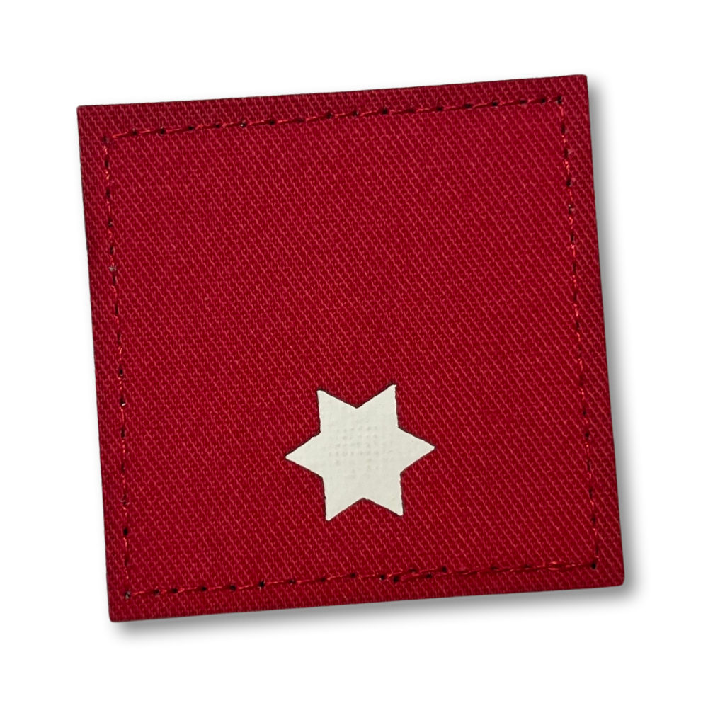 Dienstgrad Feuerwehrmann, FM