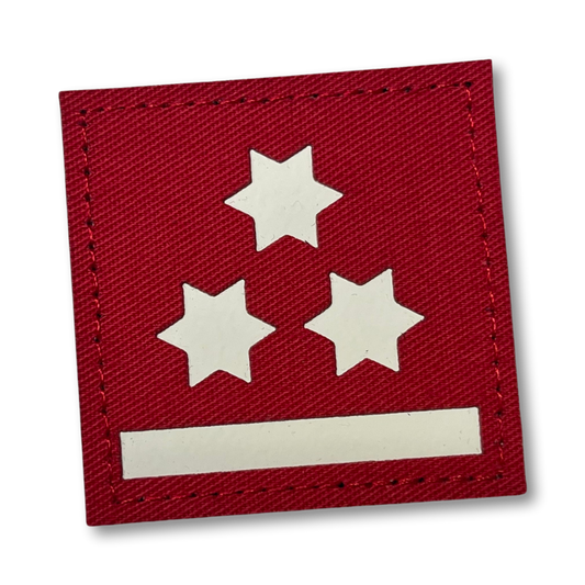 Dienstgrad Hauptlöschmeister, HLM