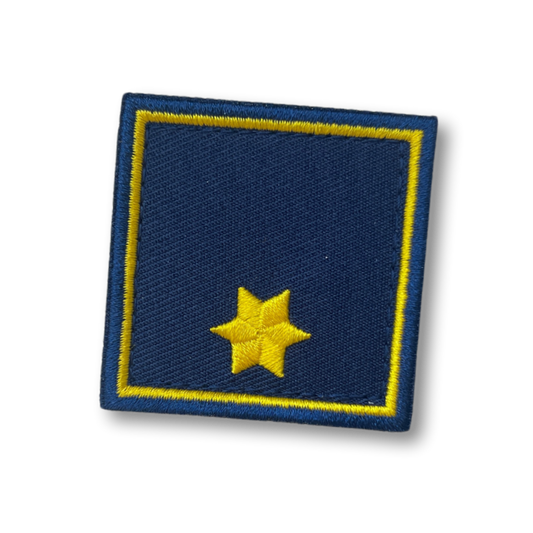 Dienstgrad Verwalter, V