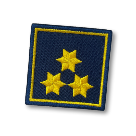 Dienstgrad Hauptverwalter, HV