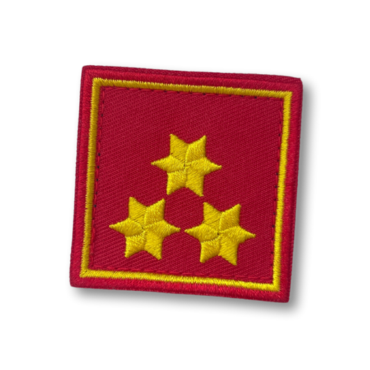 Dienstgrad Hauptbrandinspektor, HBI